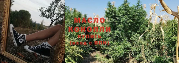 амф Верхний Тагил