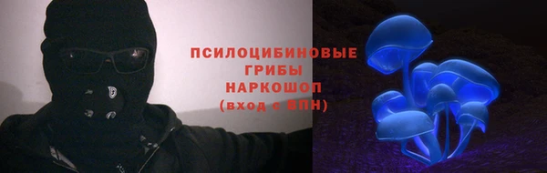 амф Верхний Тагил