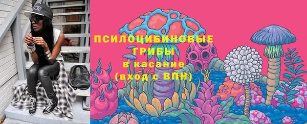 амф Верхний Тагил