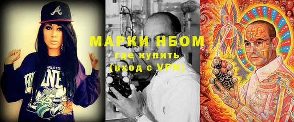 амф Верхний Тагил