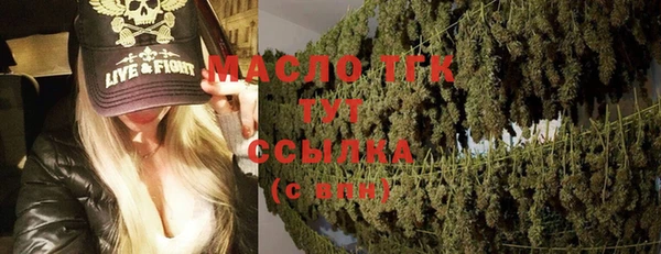 амф Верхний Тагил