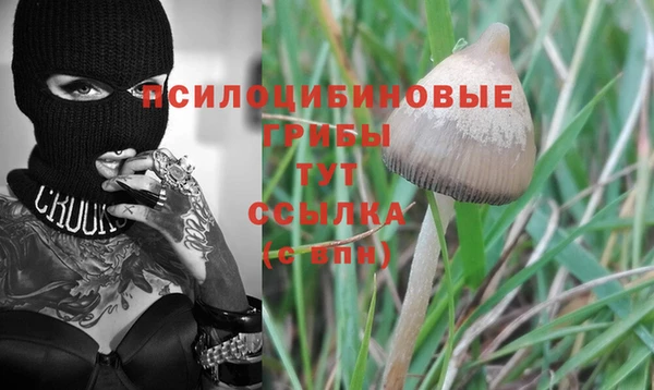 амф Верхний Тагил