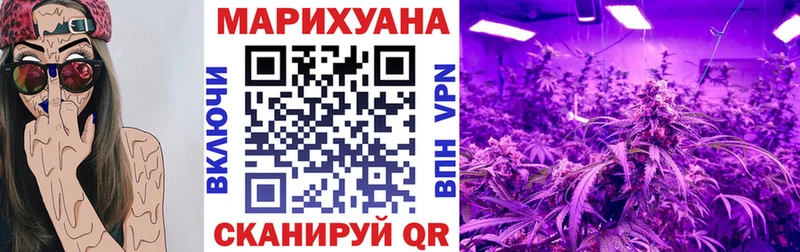 Купить  Людиново  МАРИХУАНА планчик 